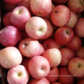 Свежие качественные продукты Apple FUJI из Китая